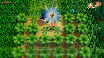 Secret Seashell #1 overworld location