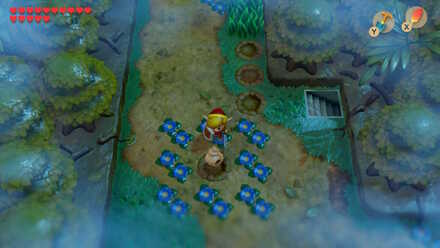 Secret Seashell #30 overworld location