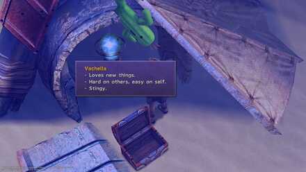 Cactuar Village Sidequest Cactuar Location FFX FF10 Final Fantasy Mercury Sigil  (24).jpg