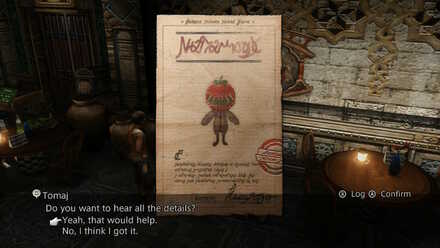 rogue tomato sidequest walkthrough final fantasy xii ffxii ff12