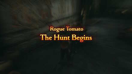 rogue tomato II sidequest walkthrough final fantasy xii ffxii ff12