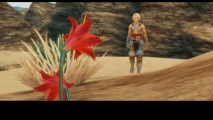 vaan galbanna lilies sidequest walkthrough final fantasy xii ffxii ff12