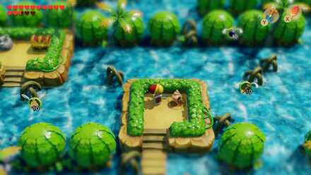 Seashell Location 36-1