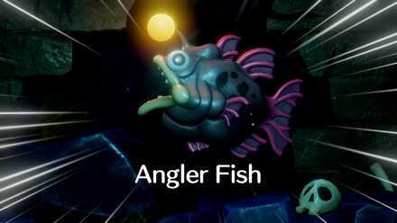 Angler Fish