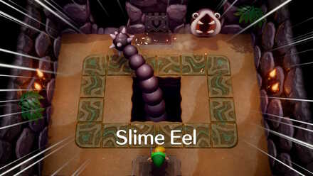 Slime Eel