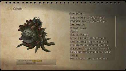 carrot carrot stalk sidequest walkthrough final fantasy xii ffxii ff12