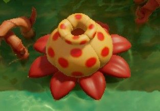 Giant Goponga Flower