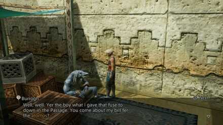 burrogh bangaa nalbina fortress sidequest walkthrough final fantasy xii ffxii ff12