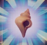 Secret Seashell