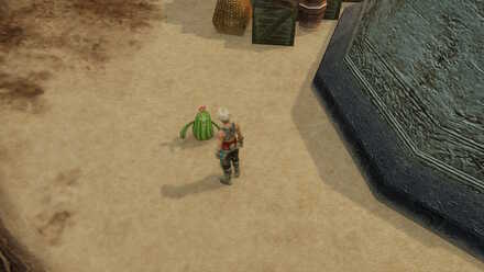 dran flowering cactoid sidequest walkthrough final fantasy xii ffxii ff12