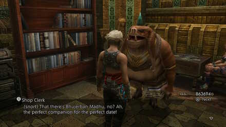 pale seeq buyer sidequest walkthrough final fantasy xii ffxii ff12