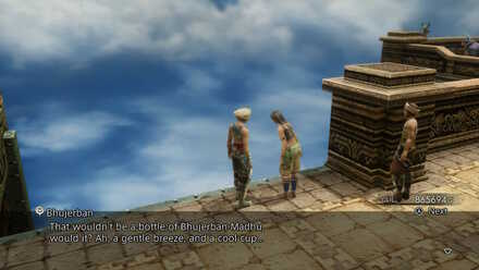 female bhujerban buyer sidequest walkthrough final fantasy xii ffxii ff12