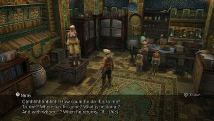 niray drunk sidequest walkthrough final fantasy xii ffxii ff12
