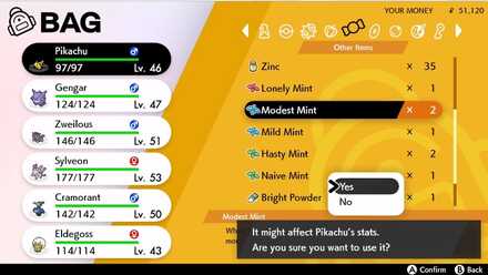 Pokemon Sword and Shield How To Change Nature Guide