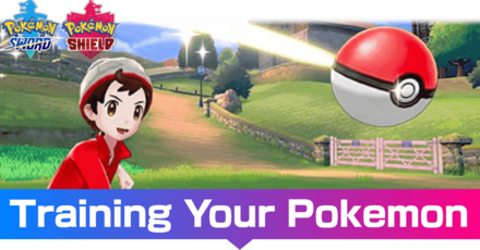 Tricks for EV Training Your Pokémon