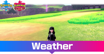 More details about the Wild Area in Pokemon Sword/Shield and shiny