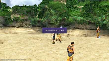 FFX Besaid Potion X3