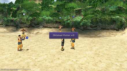 FFX Potion X 2 Besaid