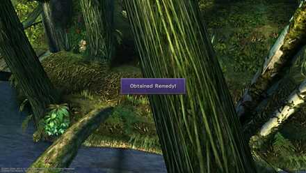 FFX Remedy Kilika Jungle