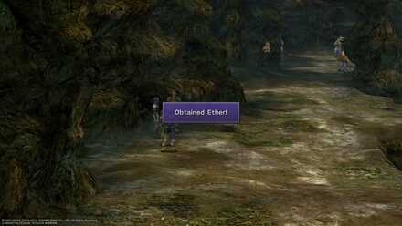 FFX Mushroom Rock Road Obtainable item list image guide