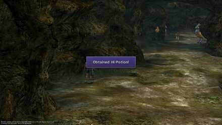 FFX Mushroom Rock Road Obtainable item list image guide