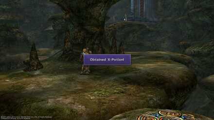 FFX Mushroom Rock Road Obtainable item list image guide