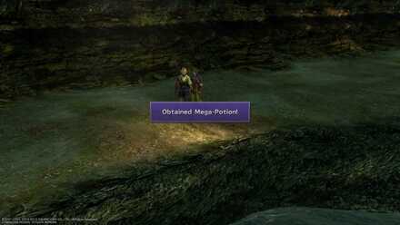 FFX Obtainable items from NPC Djose Road