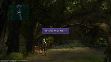 FFX Mega-Potion Road to Guadpsalam Moonflow