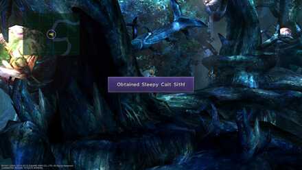 FFX Sleepy Cait Sith Obtainable Items Macalania Forest