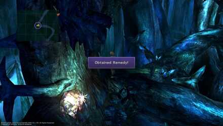 FFX Remedy Obtainable Items Macalania Forest