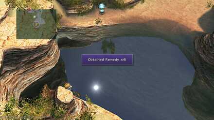 FFX Final Fantasy X Obtainable Items Bikanel Island Remedy