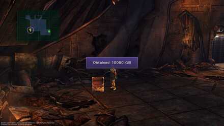 FFX Final Fantasy X Obtainable Items Bikanel Island 10000 Gil