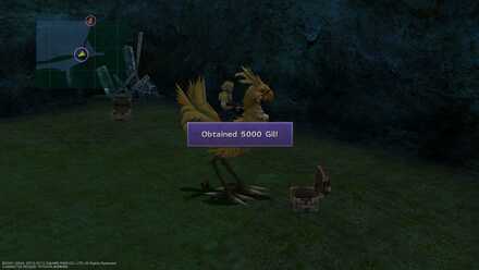 FFX Final Fantasy X 5000 Gil Obtainable Item