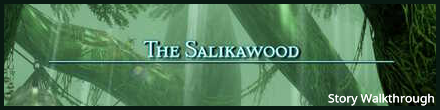 TheSalikawoods_FFXIIWalkthrough