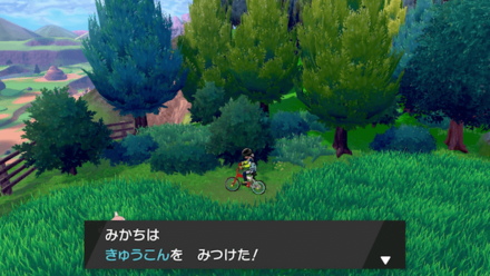 Absorb Bulb Walkthrough