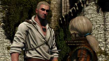 The Witcher 3 Tutorial