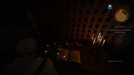 The Witcher 3 Tutorial Key