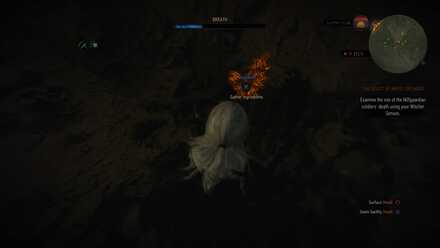 The Witcher 3 Buckthorn