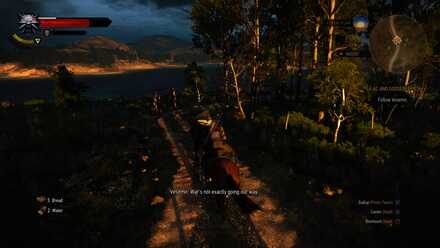 the witcher 3 horse road