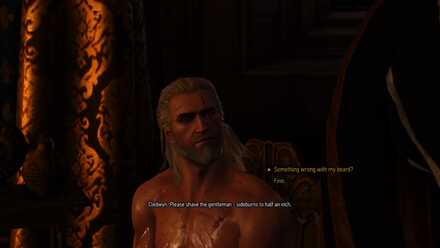 The Witcher 3 simulate save: Should you simulate a Witcher 2 save