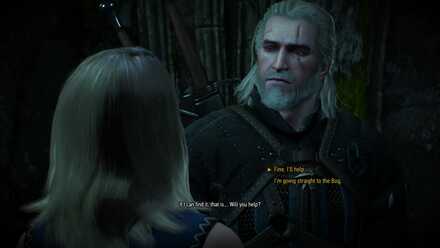 The Witcher 3: Should You Simulate A Witcher 2 Save?