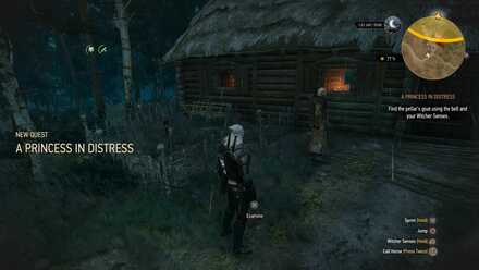 A Princess in Distress