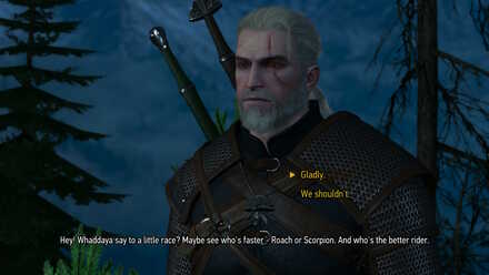 Witcher 3 Eskel Race