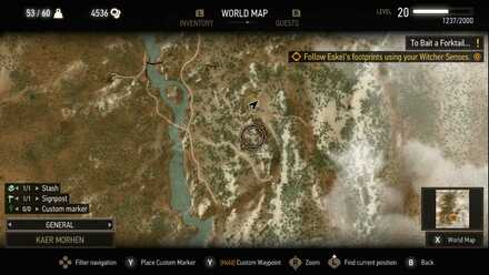 Witcher 3 Eskel Quest Location