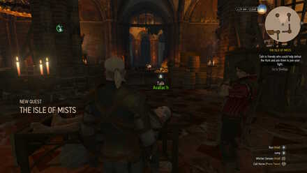 Witcher 3 Quest The Isle of Mists