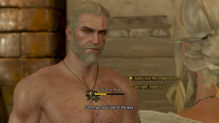 Witcher 3 Choice Travel