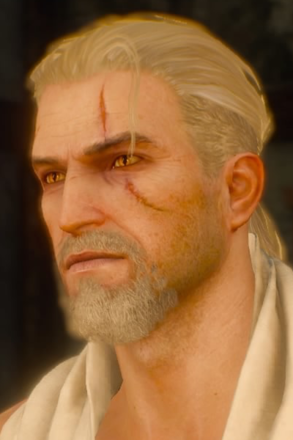 haircut - beard - Bushy goatee.png