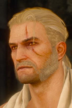 haircut - beard - friendly chops.png