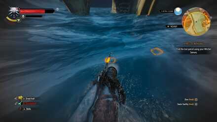 Witcher sense above water