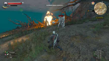 Witcher 3 Boss Imlerith Phase 1